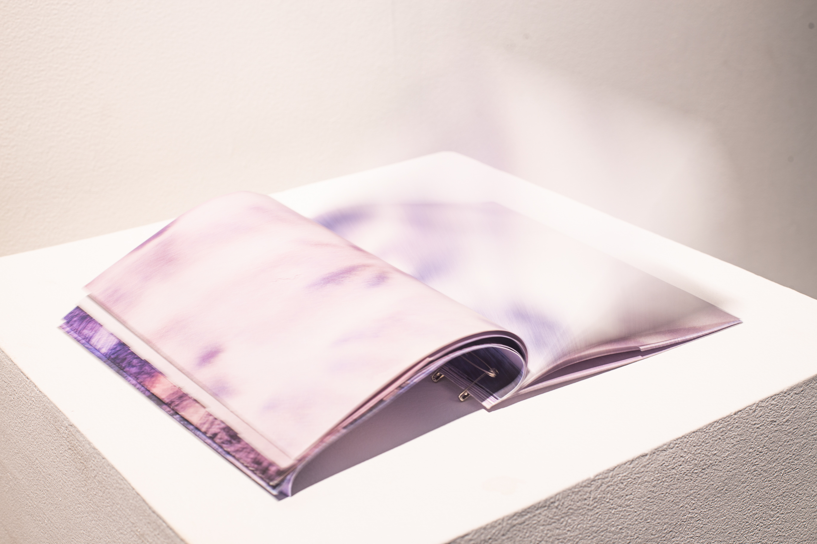 fluttering pages of a book that consists mostly of purple imagery.